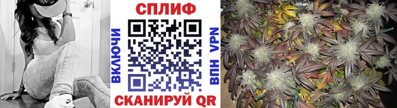 Купить наркотики цена Петрозаводск Псилоцибиновые грибы  Alpha PVP  ГАШИШ  Марихуана  Меф мяу мяу  COCAIN 