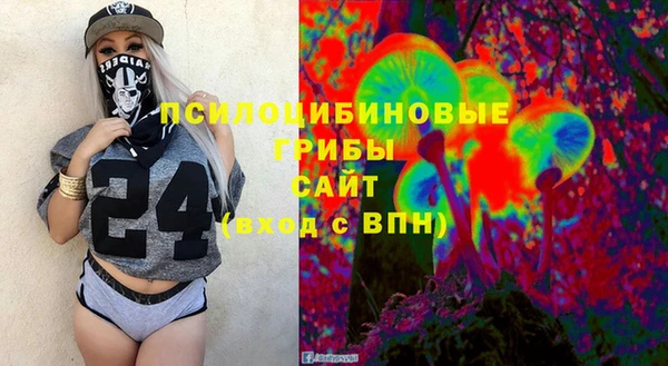 прущая мука Алзамай