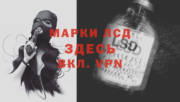 тгк Инта