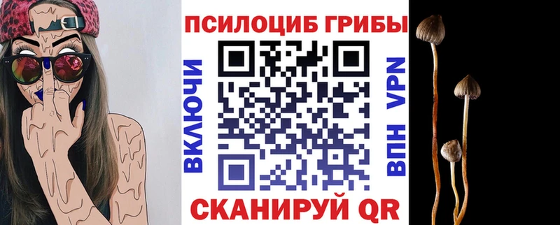 Галлюциногенные грибы Cubensis  Петрозаводск 