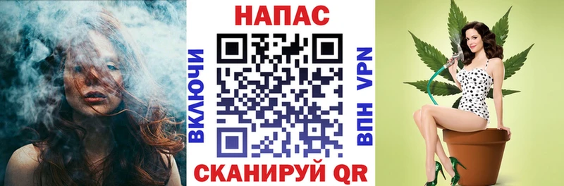 Канабис сатива  купить наркотик  Петрозаводск 